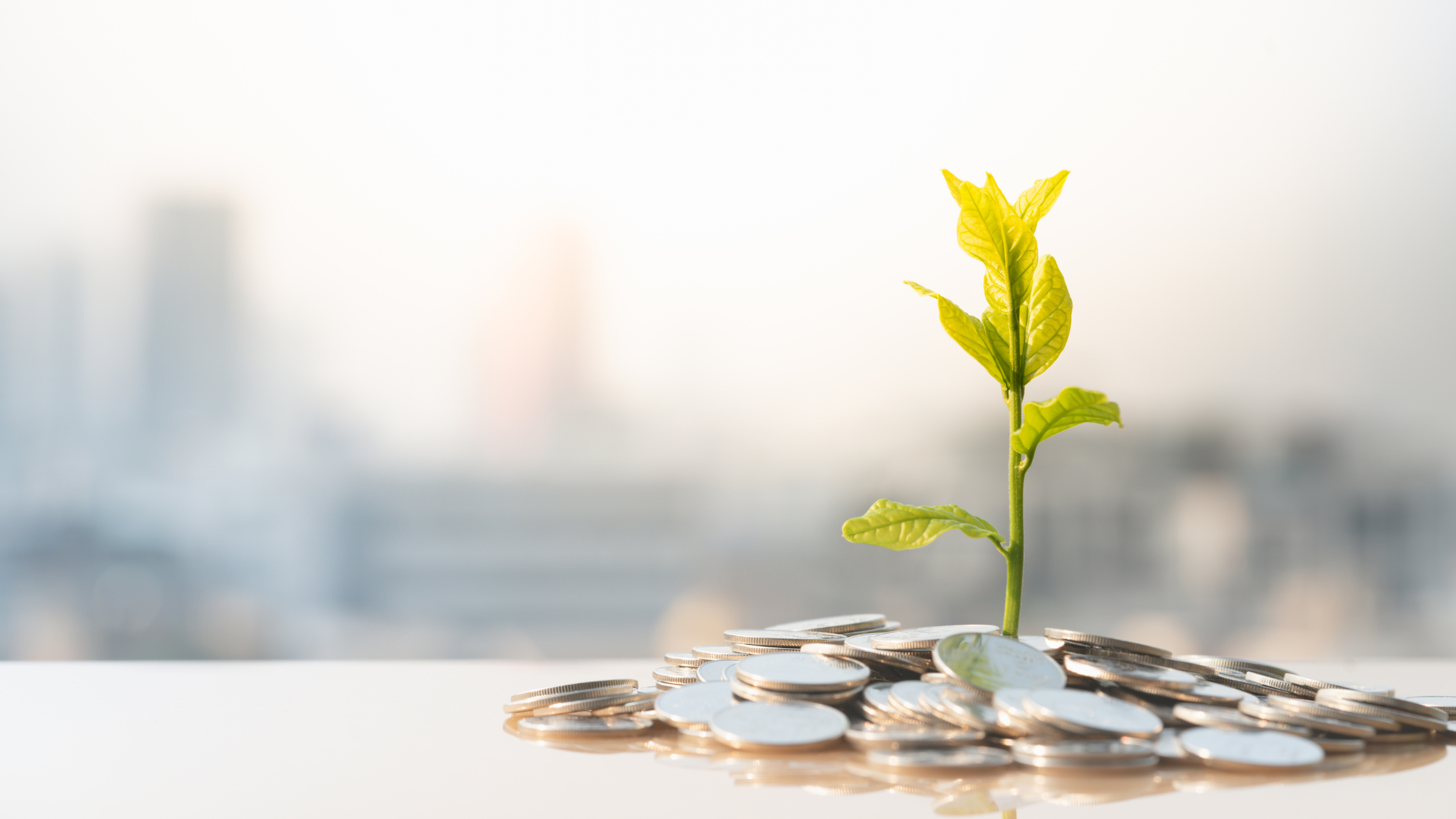 5 Signs Your Financial Structure Needs to Evolve as Your Business Grows